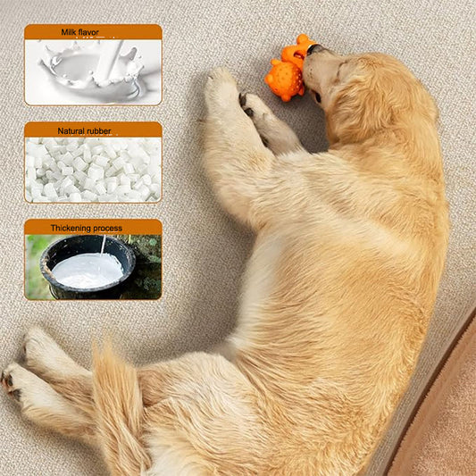 Orange Monkey Rubber Chew & Treat-Dispensing Dog Toy – Nubby Dental Texture, Hollow Treat Fill, Bite-Resistant | Dogs
