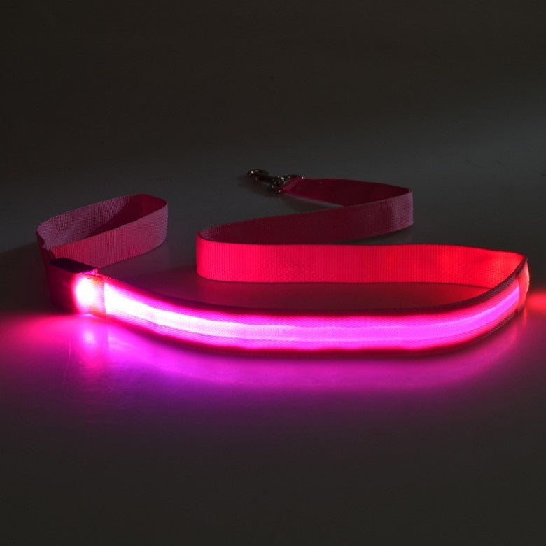 LED Light-Up Dog Leash – USB Rechargeable, Glowing Nylon Flat Leash for Night Walks | 120cm | 8 Colors