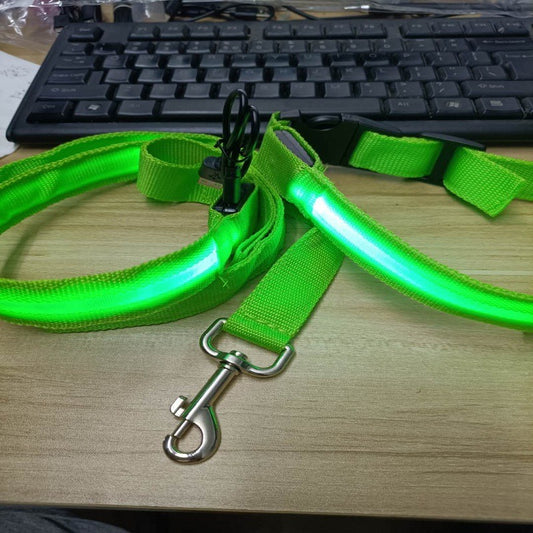 LED Light-Up Dog Leash – USB Rechargeable, Glowing Nylon Flat Leash for Night Walks | 120cm | 8 Colors