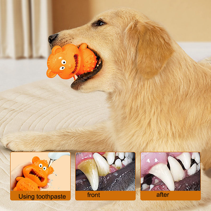 Orange Monkey Rubber Chew & Treat-Dispensing Dog Toy – Nubby Dental Texture, Hollow Treat Fill, Bite-Resistant | Dogs