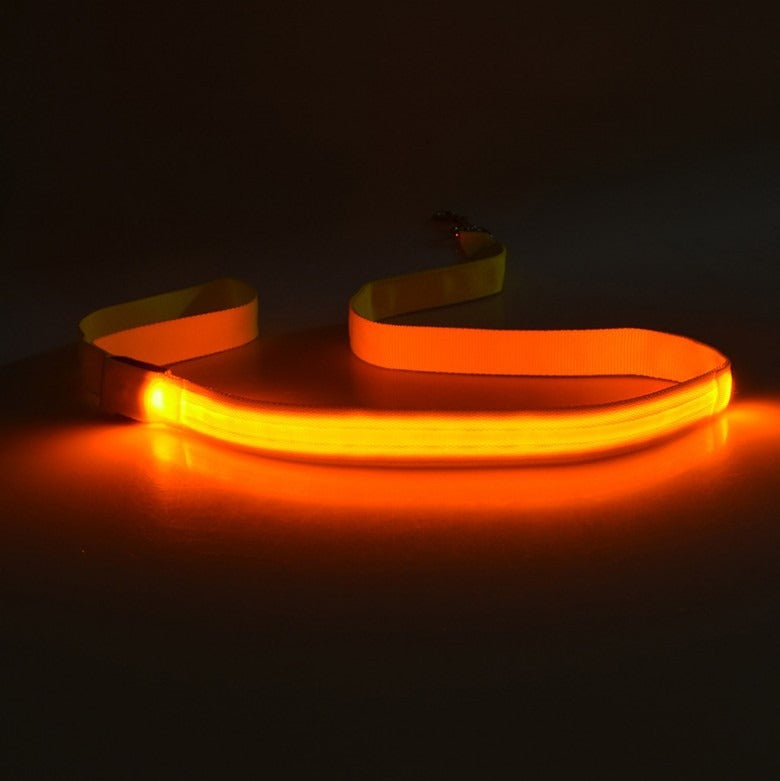 LED Light-Up Dog Leash – USB Rechargeable, Glowing Nylon Flat Leash for Night Walks | 120cm | 8 Colors