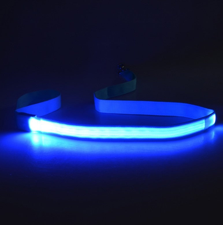 LED Light-Up Dog Leash – USB Rechargeable, Glowing Nylon Flat Leash for Night Walks | 120cm | 8 Colors