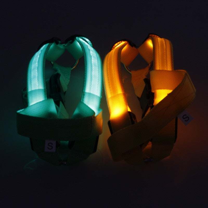 LED Light-Up Dog Harness – Nylon Step-In Safety Harness with Flashing Light | 3 Light Modes | 7 Colors | XS–XL
