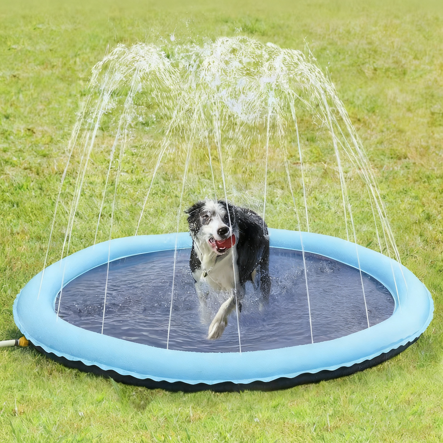 Thickened PVC Pet Splash Pad & Sprinkler Mat – Inflatable Ring Border, Hose-Connect Water Play | 4 Sizes | Indoor & Outdoor