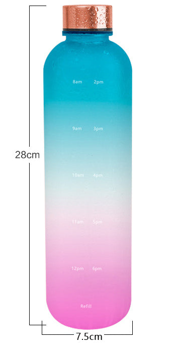 Tritan Sports Water Bottle with Handle – Frosted Gradient 1L Travel Mug