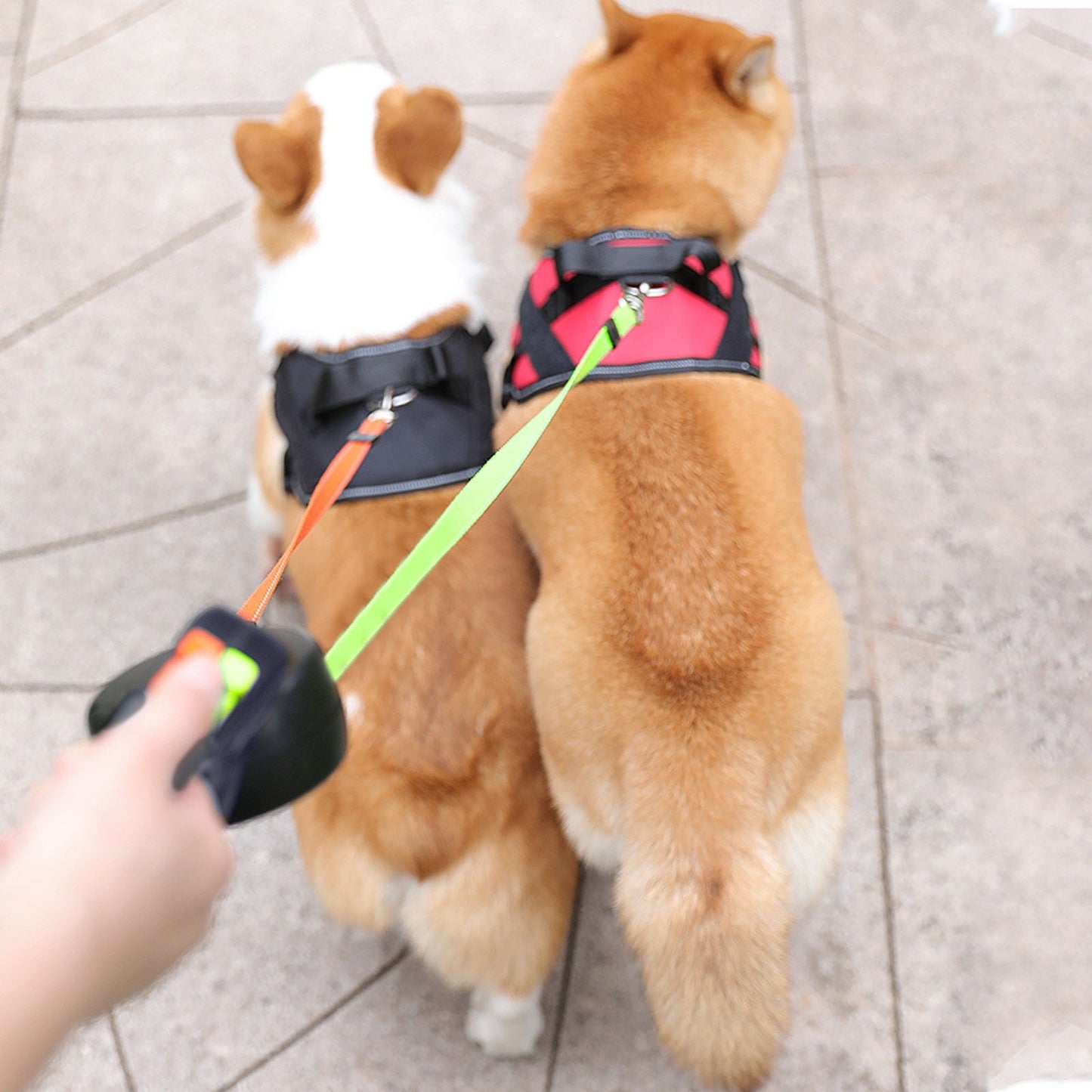 Dual Retractable Dog Leash for Two Dogs – 3M Zero-Tangle Double Leash with Waste Bag Dispenser | Nylon | 3 Colors