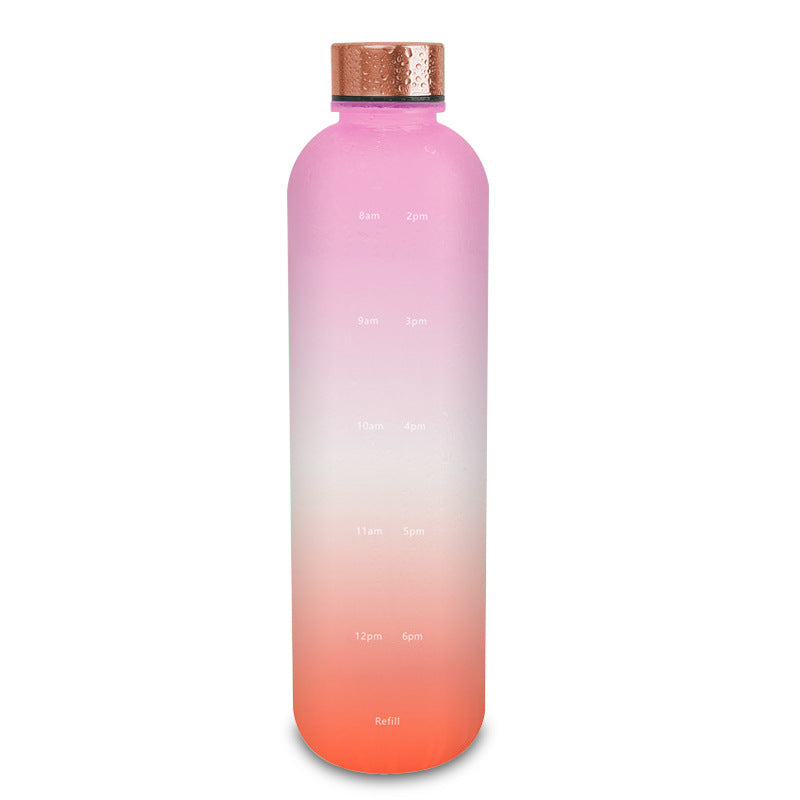 Tritan Sports Water Bottle with Handle – Frosted Gradient 1L Travel Mug