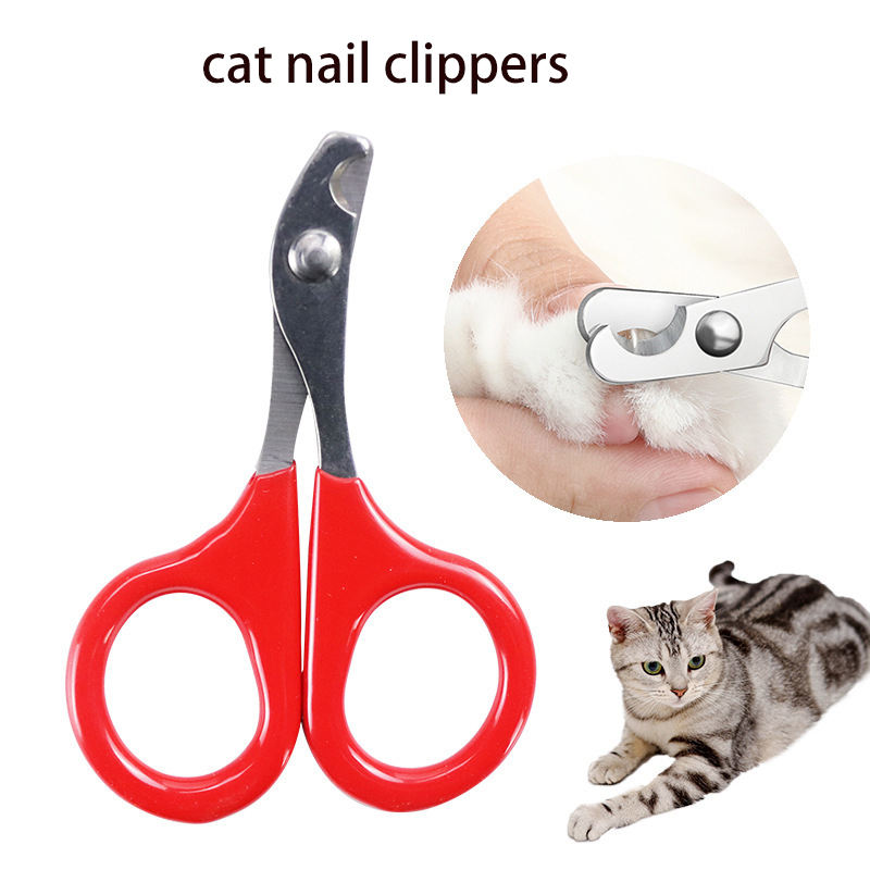 Stainless Steel Pet Nail Clippers – Scissor-Style, Curved Blade | Cats, Kittens & Small Pets | 4 Colors