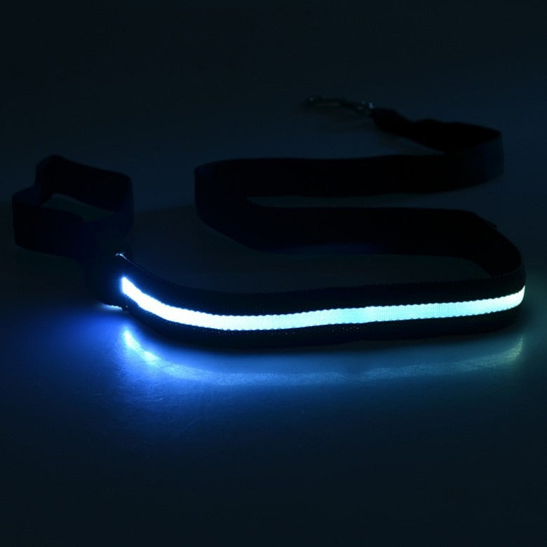 LED Light-Up Dog Leash – USB Rechargeable, Glowing Nylon Flat Leash for Night Walks | 120cm | 8 Colors