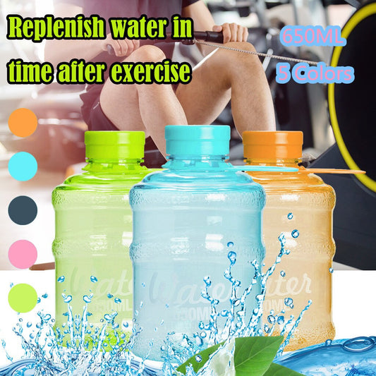 650 ml Sports Water Bottle with Carry Handle