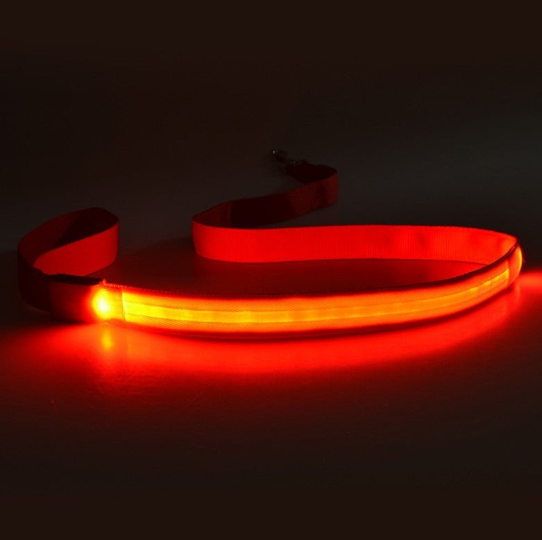 LED Light-Up Dog Leash – USB Rechargeable, Glowing Nylon Flat Leash for Night Walks | 120cm | 8 Colors