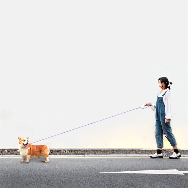 LED Glow Retractable Dog Leash – Built-In Ring Light, One-Button Brake, 3M or 5M | 3 Colors
