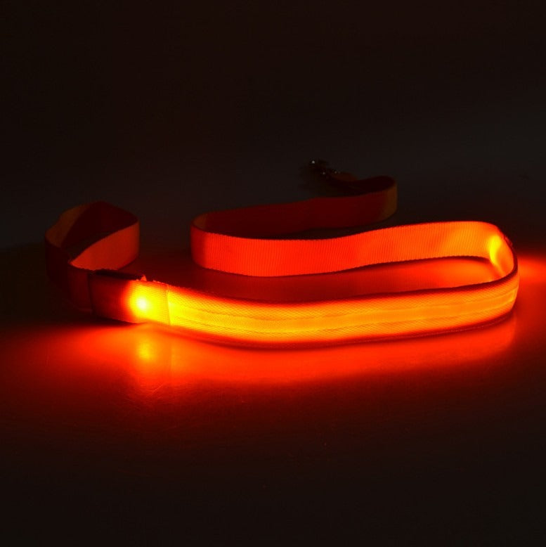LED Light-Up Dog Leash – USB Rechargeable, Glowing Nylon Flat Leash for Night Walks | 120cm | 8 Colors