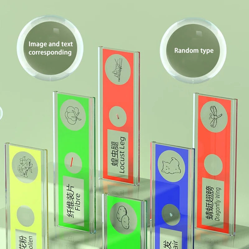 Pocket Handheld LED Microscope with Display and Memory Card