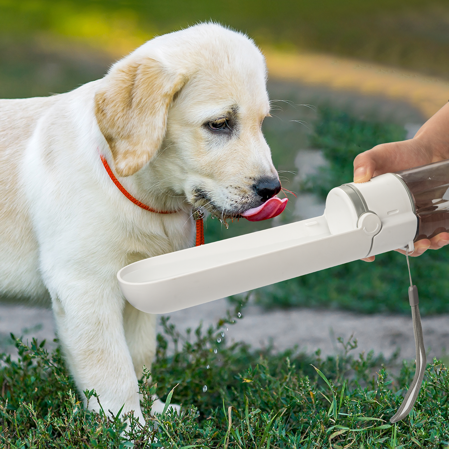 Flip-Top Portable Pet Water Bottle with Built-In Drinking Trough – 420ml, Leak-Proof, Lanyard Included | 4 Colors