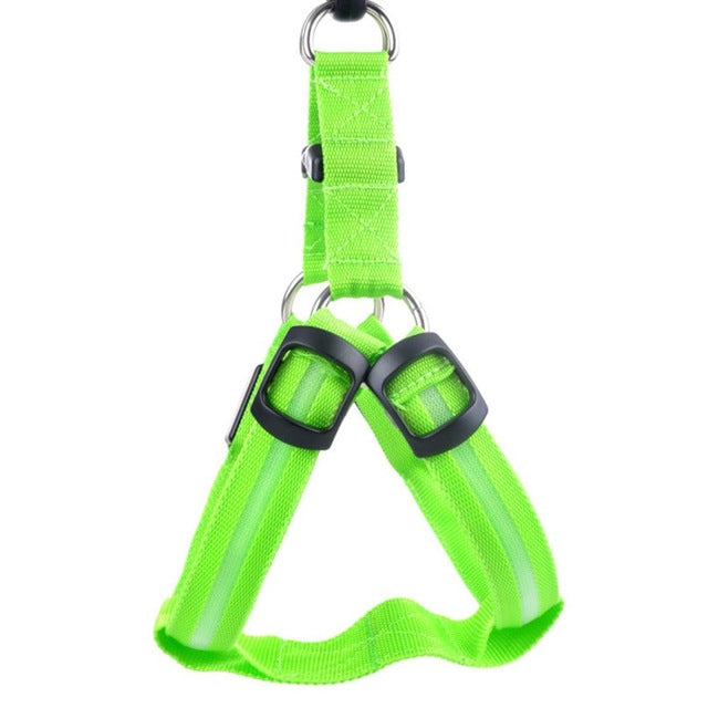 LED Light-Up Dog Harness – Nylon Step-In Safety Harness with Flashing Light | 3 Light Modes | 7 Colors | XS–XL