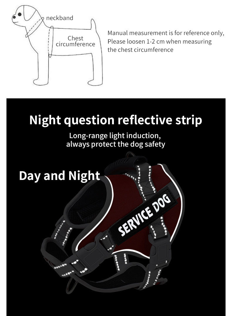 No-Pull Dog Harness with Reflective Trim, Top Handle & Velcro Patch – Padded, Adjustable, Dual D-Ring | XS–XXL | 10 Colors | Optional Leash Bundle