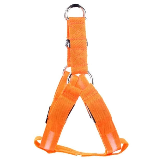 LED Light-Up Dog Harness – Nylon Step-In Safety Harness with Flashing Light | 3 Light Modes | 7 Colors | XS–XL