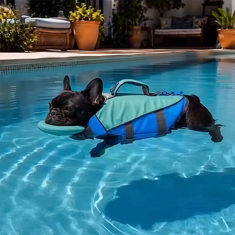 Adjustable Dog Life Jacket – 600D Oxford, High Buoyancy, Rescue Handle, Reflective Stripes | Swimming & Water Sports | XS–XL | 4 Colors