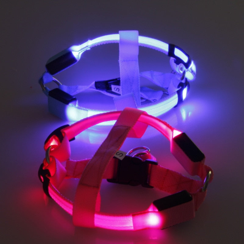 LED Light-Up Dog Harness – Nylon Step-In Safety Harness with Flashing Light | 3 Light Modes | 7 Colors | XS–XL