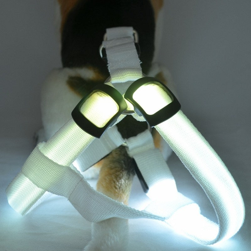 LED Light-Up Dog Harness – Nylon Step-In Safety Harness with Flashing Light | 3 Light Modes | 7 Colors | XS–XL
