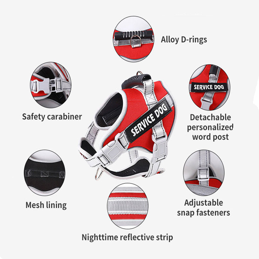 No-Pull Dog Harness with Reflective Trim, Top Handle & Velcro Patch – Padded, Adjustable, Dual D-Ring | XS–XXL | 10 Colors | Optional Leash Bundle