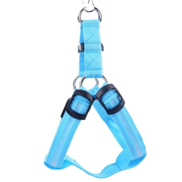 LED Light-Up Dog Harness – Nylon Step-In Safety Harness with Flashing Light | 3 Light Modes | 7 Colors | XS–XL