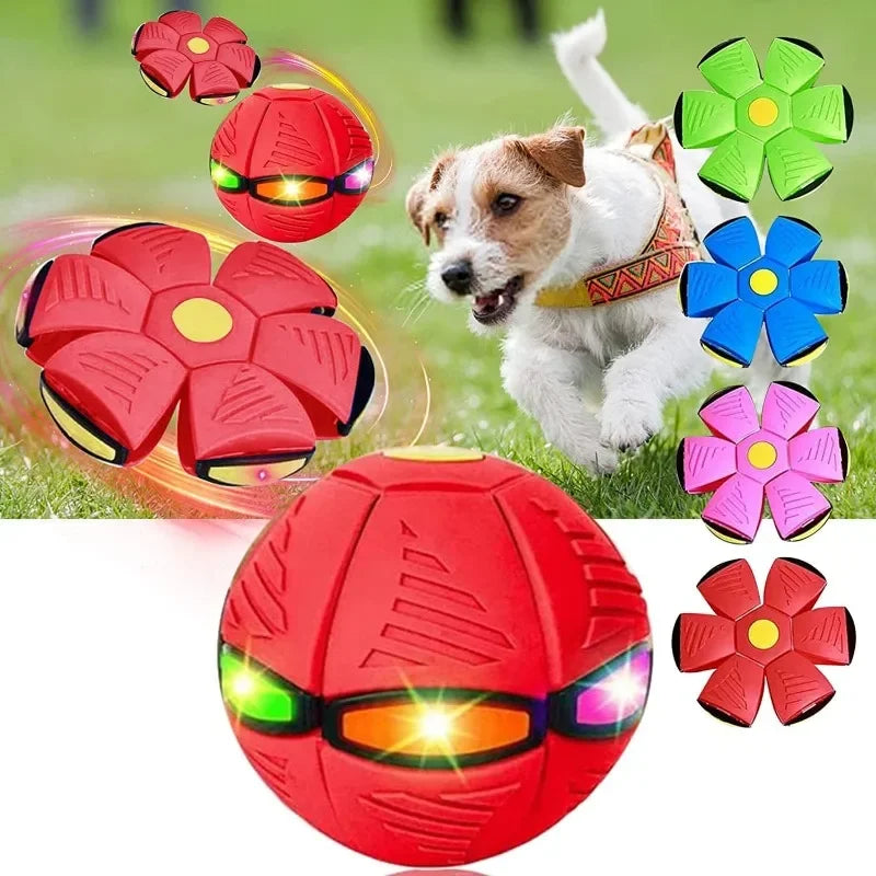 2-in-1 UFO Flying Saucer & Magic Ball LED Dog Toy – Press-to-Pop, High Bounce, Light-Up | Dogs | 6 Colors | 3 or 6 Lights