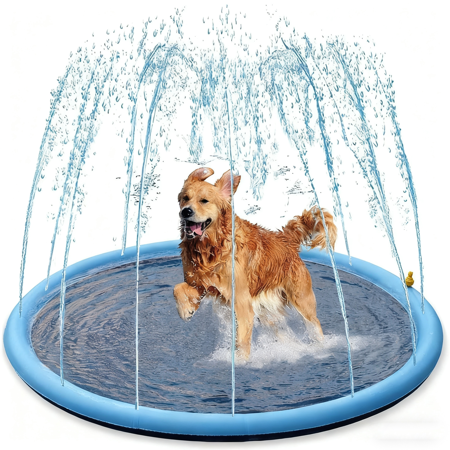 Thickened PVC Pet Splash Pad & Sprinkler Mat – Inflatable Ring Border, Hose-Connect Water Play | 4 Sizes | Indoor & Outdoor