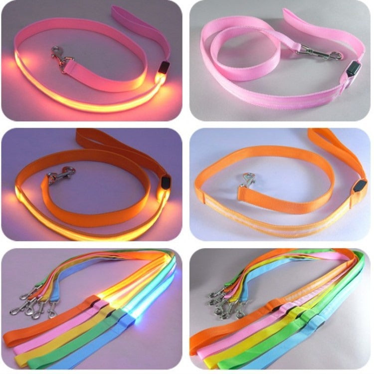 LED Light-Up Dog Leash – USB Rechargeable, Glowing Nylon Flat Leash for Night Walks | 120cm | 8 Colors