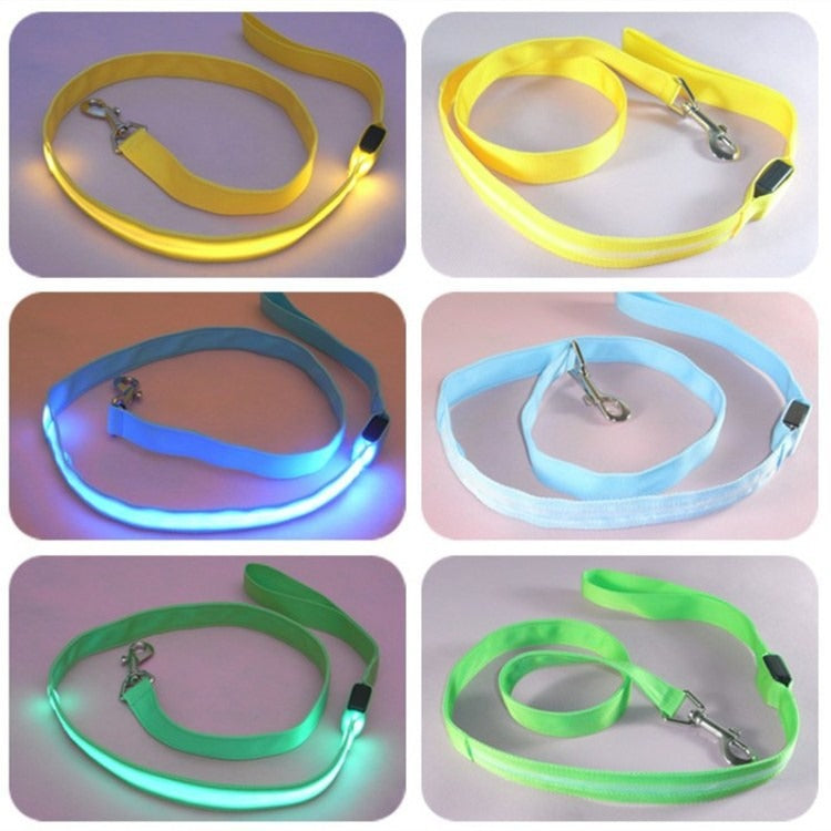 LED Light-Up Dog Leash – USB Rechargeable, Glowing Nylon Flat Leash for Night Walks | 120cm | 8 Colors