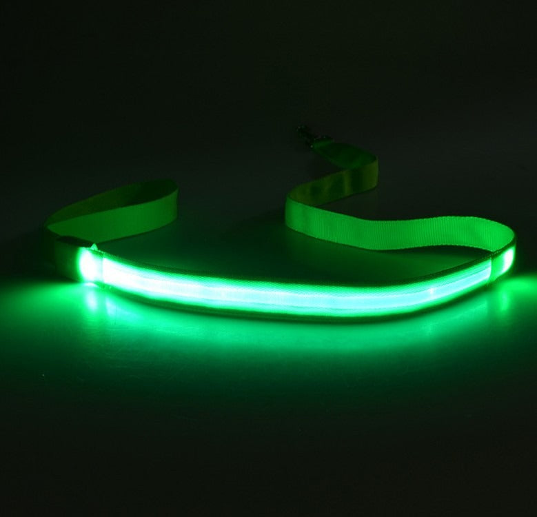 LED Light-Up Dog Leash – USB Rechargeable, Glowing Nylon Flat Leash for Night Walks | 120cm | 8 Colors