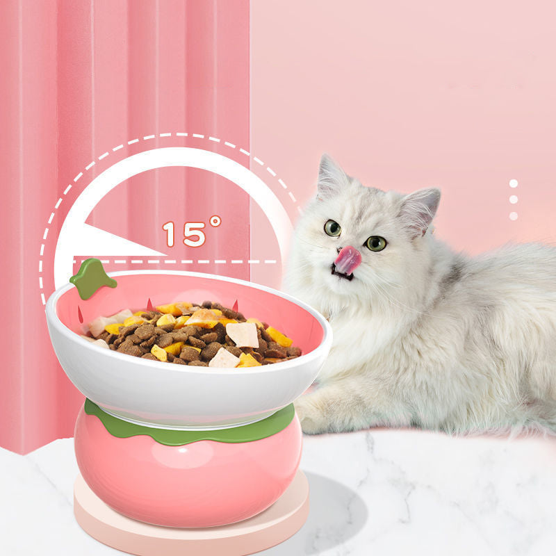Novelty Fruit Ceramic Tilted Pet Bowl – Strawberry, Orange & Pumpkin | Raised Angled Design, Cervical Spine Protection | Cats & Dogs