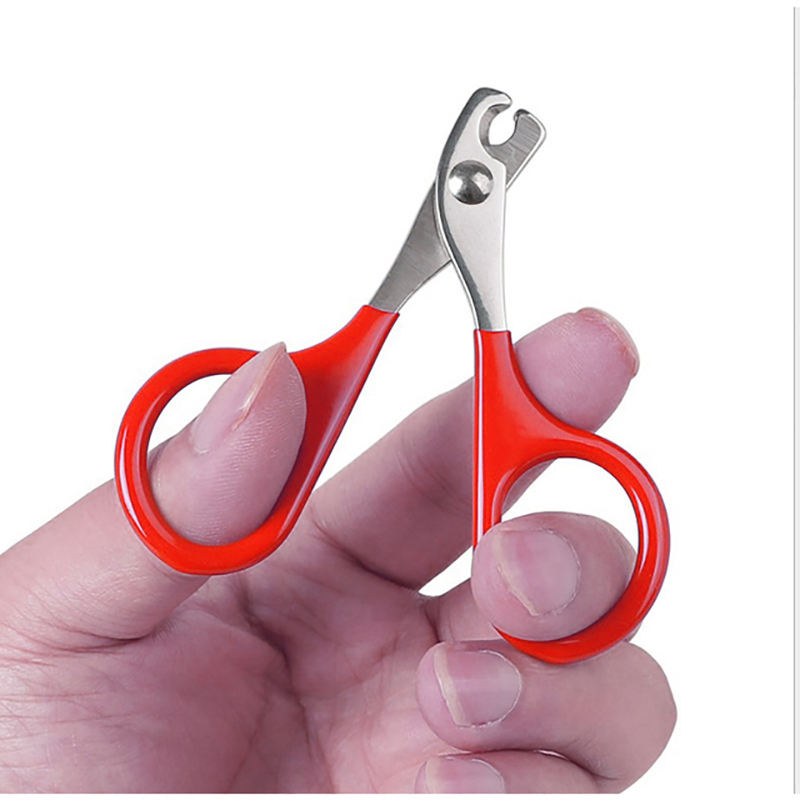 Stainless Steel Pet Nail Clippers – Scissor-Style, Curved Blade | Cats, Kittens & Small Pets | 4 Colors