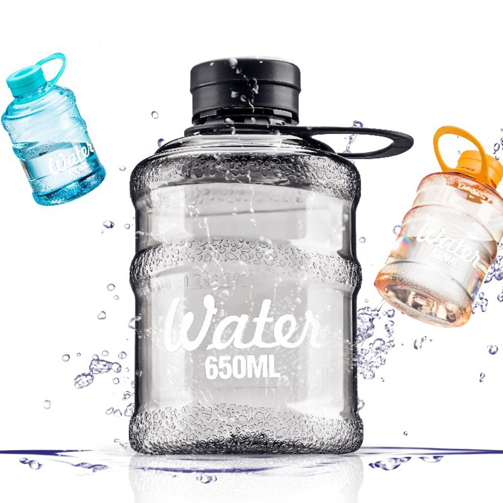 650 ml Sports Water Bottle with Carry Handle