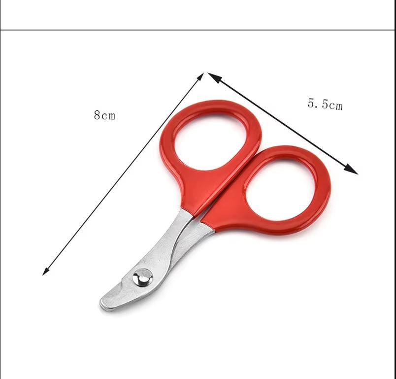 Stainless Steel Pet Nail Clippers – Scissor-Style, Curved Blade | Cats, Kittens & Small Pets | 4 Colors
