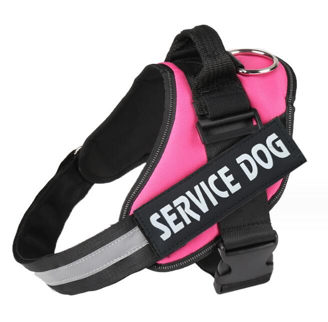 Personalized No-Pull Dog Harness – Oxford Cloth with Custom ID Patch, Reflective Strip & Top Handle | Baby to XXL | 13 Styles