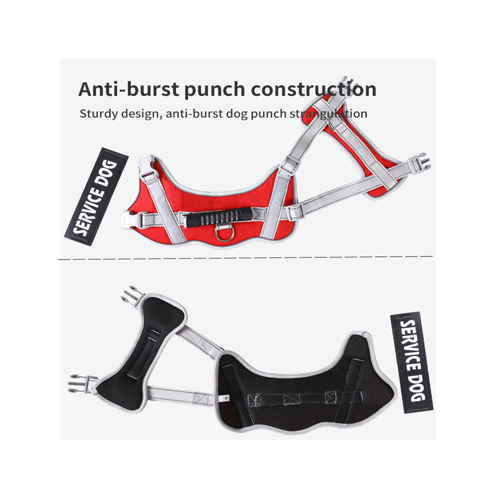 No-Pull Dog Harness with Reflective Trim, Top Handle & Velcro Patch – Padded, Adjustable, Dual D-Ring | XS–XXL | 10 Colors | Optional Leash Bundle