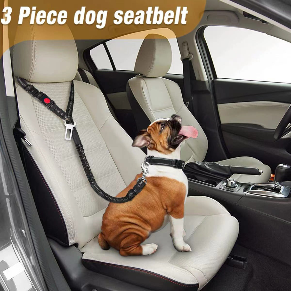 2-in-1 Adjustable Dog Car Seat Belt & Leash – Bungee Elastic, Reflective Nylon, Universal Buckle & Swivel Snap Hook | Dogs | 9 Colors