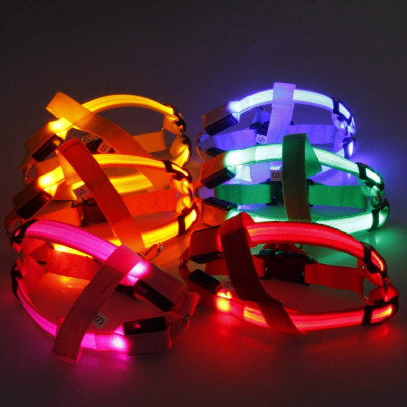 LED Light-Up Dog Harness – Nylon Step-In Safety Harness with Flashing Light | 3 Light Modes | 7 Colors | XS–XL