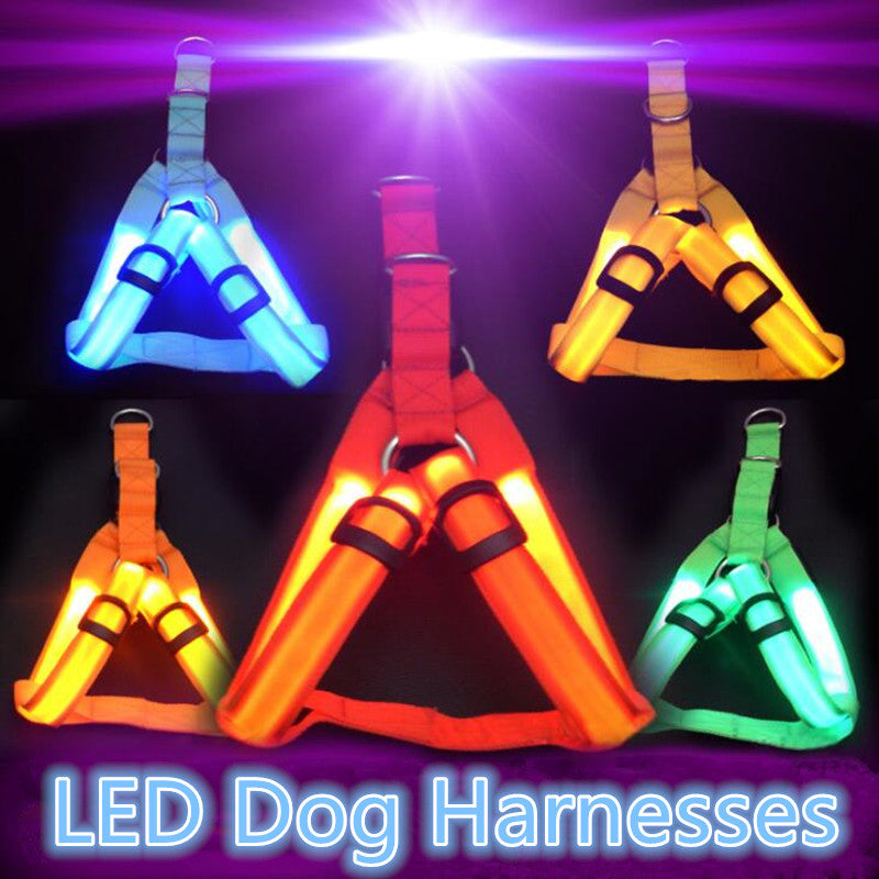 LED Light-Up Dog Harness – Nylon Step-In Safety Harness with Flashing Light | 3 Light Modes | 7 Colors | XS–XL