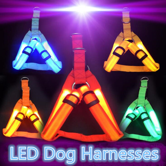 LED Light-Up Dog Harness – Nylon Step-In Safety Harness with Flashing Light | 3 Light Modes | 7 Colors | XS–XL