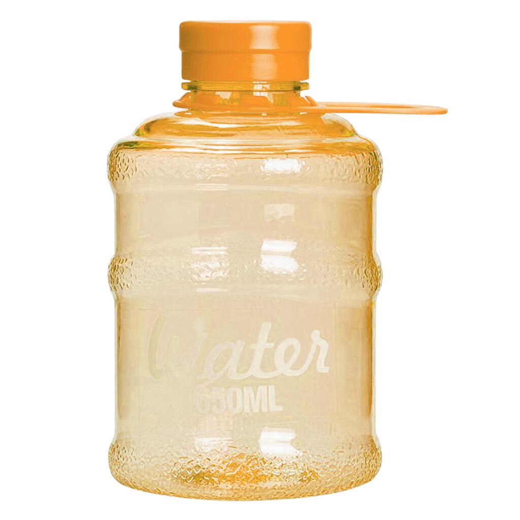 650 ml Sports Water Bottle with Carry Handle