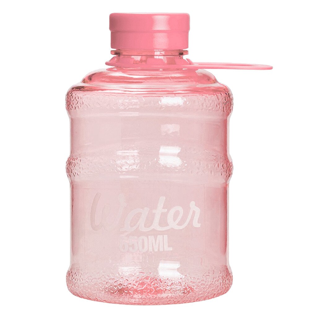 650 ml Sports Water Bottle with Carry Handle