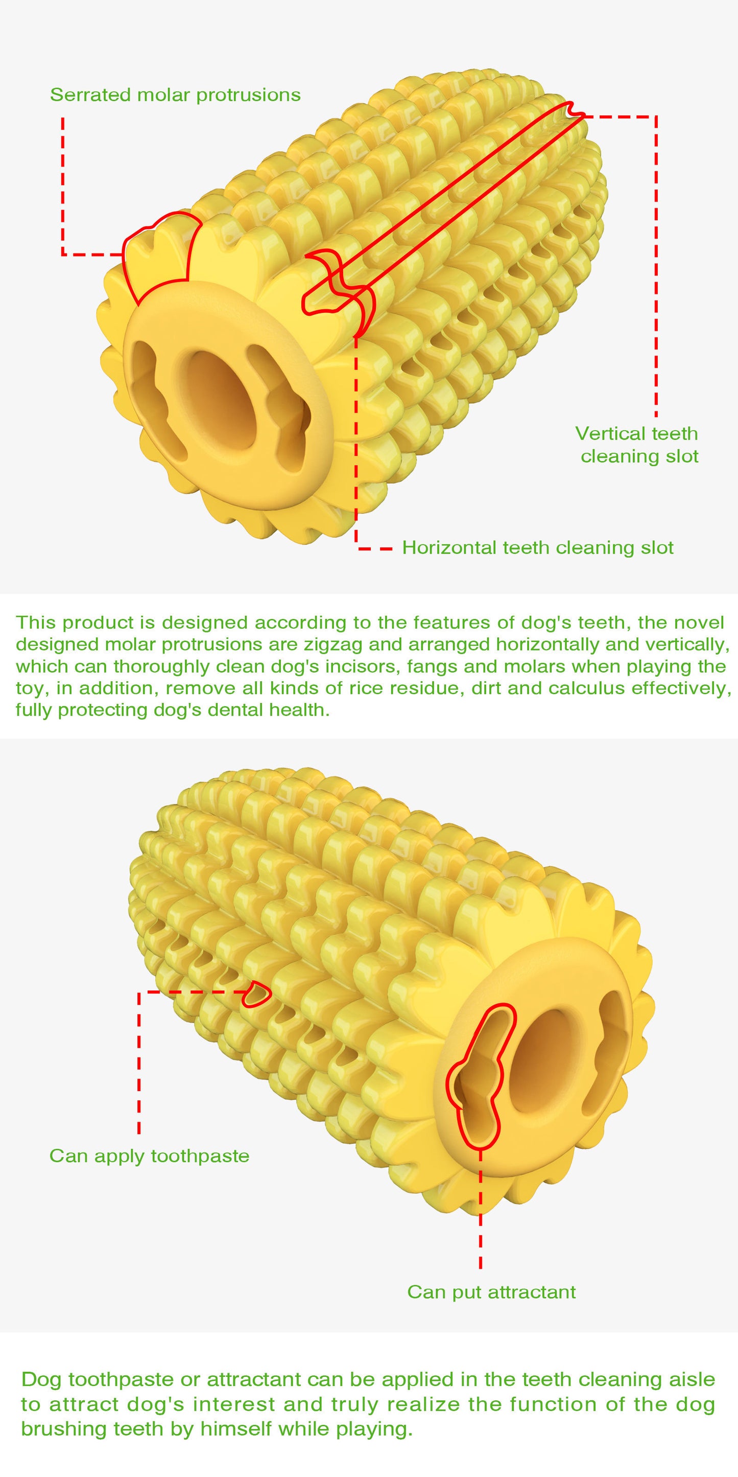 Corn Cob TPR Squeaky Chew & Dental Dog Toy – Kernel-Textured Molar Stick, Cotton Rope Tail, Built-In Squeaker | Dogs & Cats | Yellow