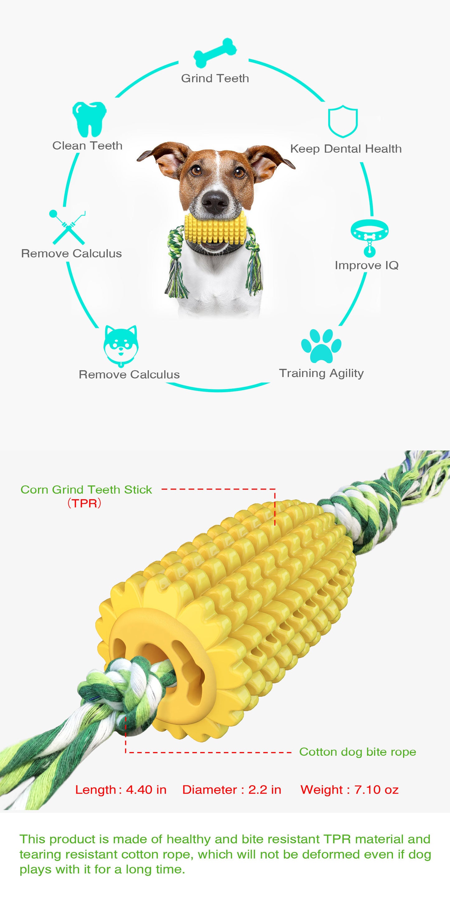 Corn Cob TPR Squeaky Chew & Dental Dog Toy – Kernel-Textured Molar Stick, Cotton Rope Tail, Built-In Squeaker | Dogs & Cats | Yellow