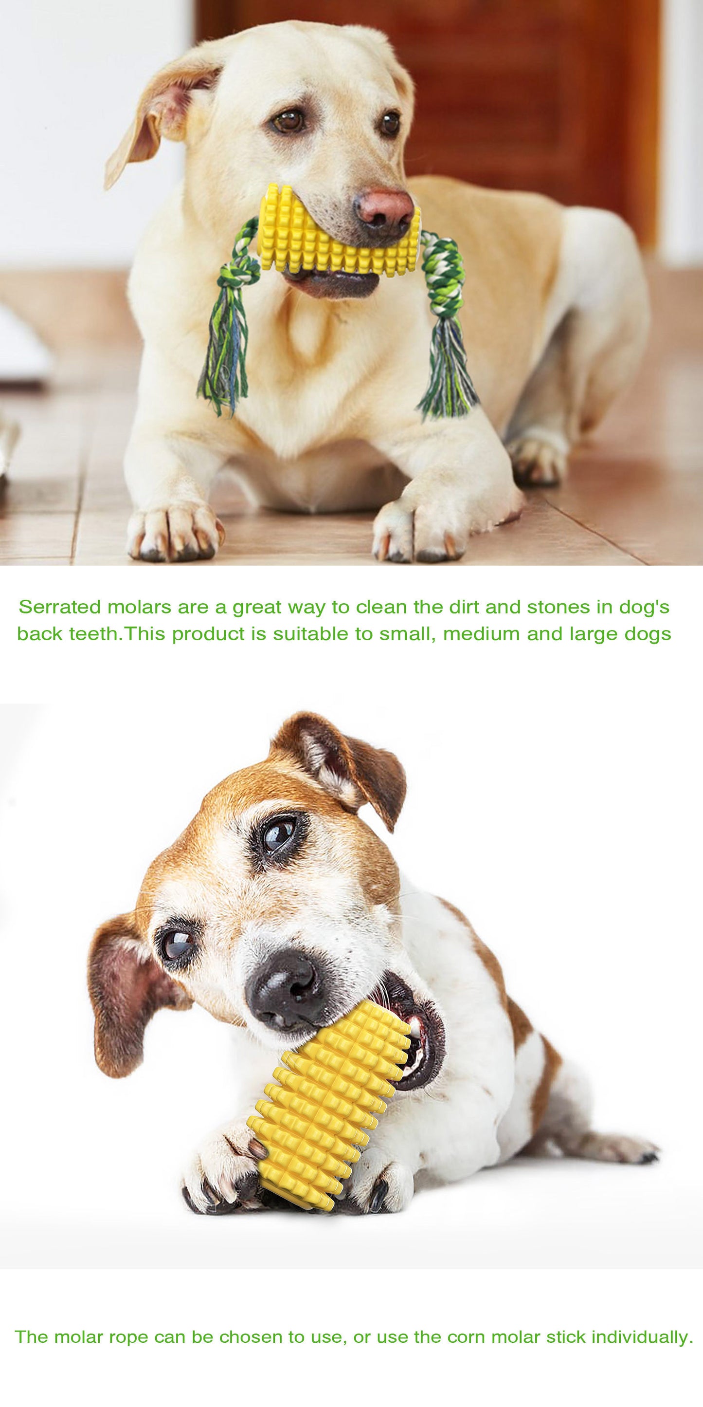 Corn Cob TPR Squeaky Chew & Dental Dog Toy – Kernel-Textured Molar Stick, Cotton Rope Tail, Built-In Squeaker | Dogs & Cats | Yellow